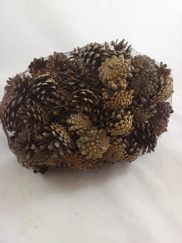 Pinus sylvestris 4 cm naturel 1 kg.